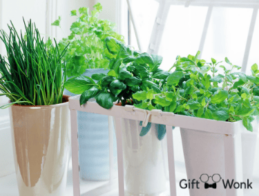 Creative DIY Gifts For Father's Day That You Can Make 4
