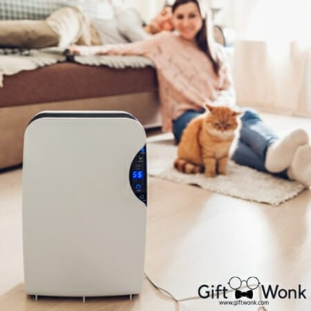 Christmas Gifts For Parents - Air Purifier