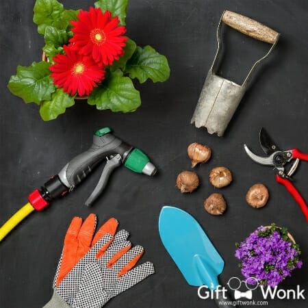 Christmas Gifts Everyone Will Love - Gardening Tools