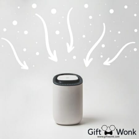 Christmas Gifts Everyone Will Love - Air Purifier 