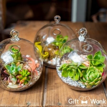 Cool and Unique Christmas Gifts for Him - Wooden Stand for Plant Terrarium