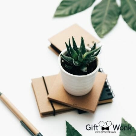 Practical Christmas Gift Ideas for Coworkers 106 Practical Christmas Gift Ideas for Coworkers - Succulent Planters