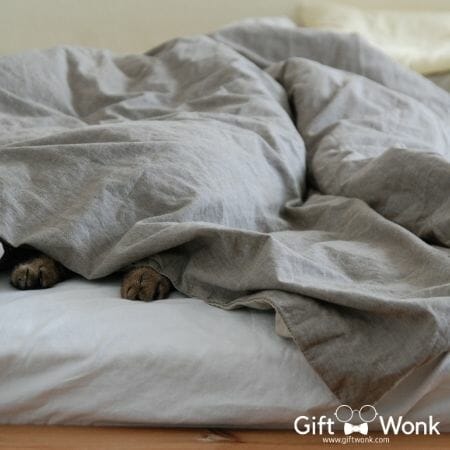 Christmas Gifts for Girlfriends - Weighted Blanket