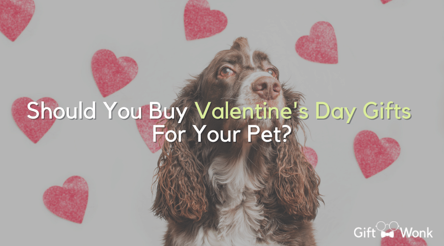 Valentine's Day Gifts For Your Pet title image with a dog in the background
