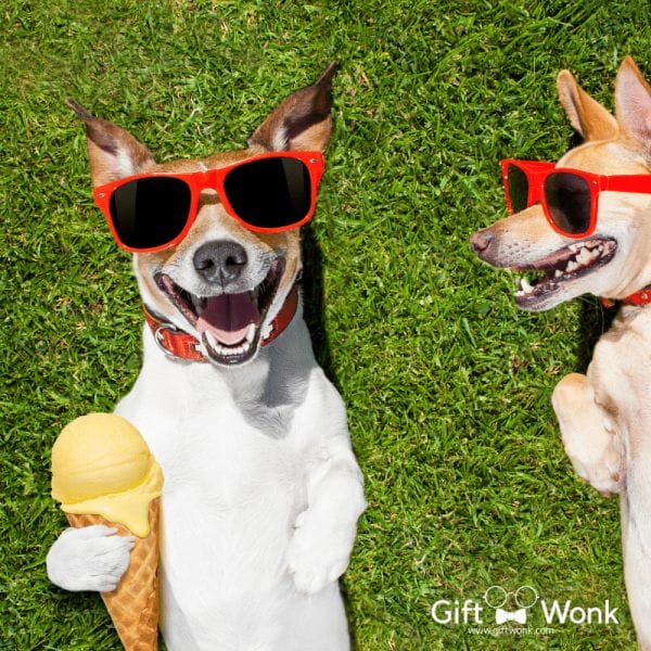 A dog holding an ice cream cone