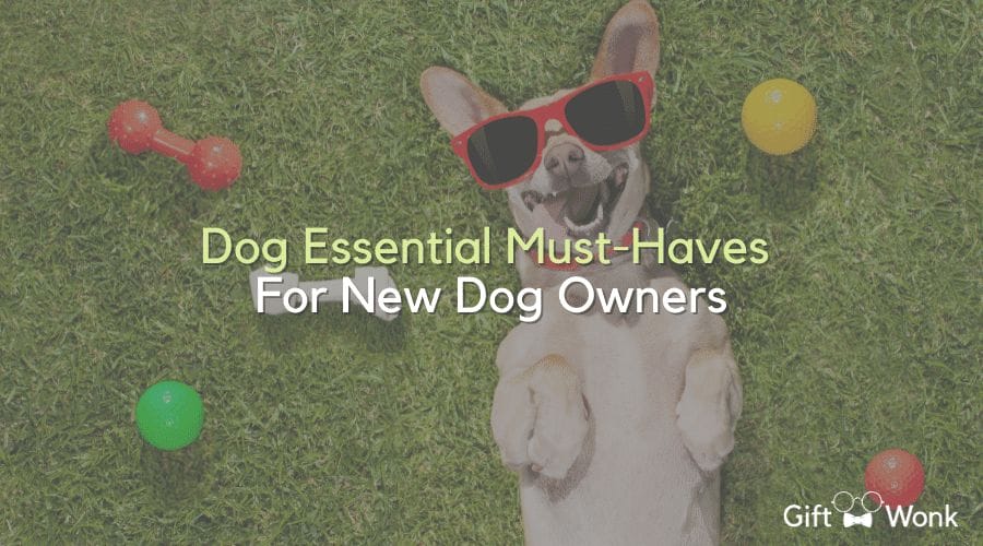dog essential must-haves
