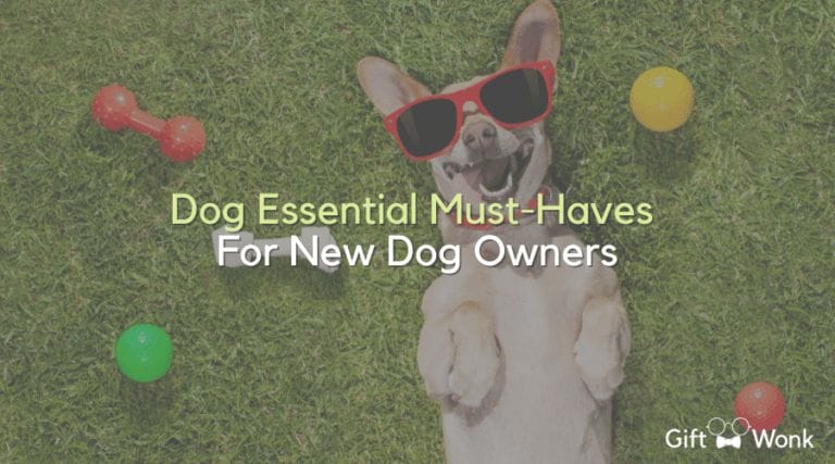 Top Dog Essential Must Haves For New Dog Owners