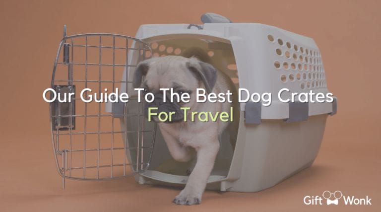 5 Best Dog Crates For Travel