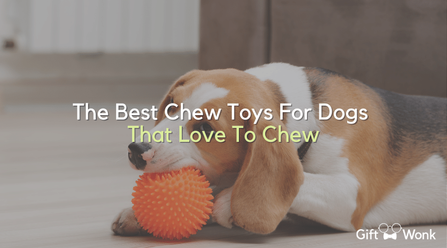 The Best Chew Toys For Dogs That Love To Chew