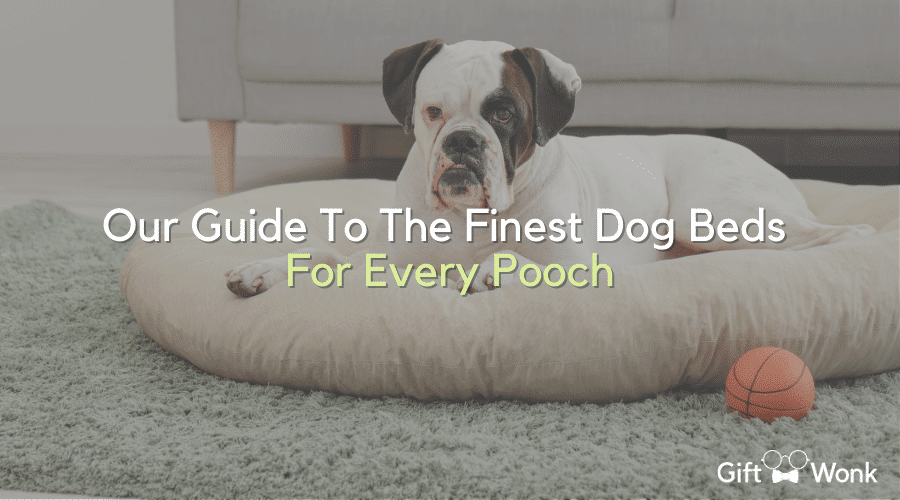 finest dog beds