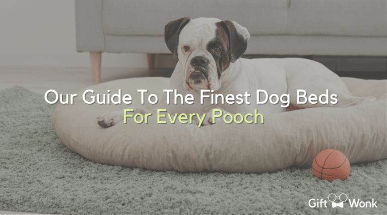 Our Guide To The Finest Dog Beds For Every Pooch