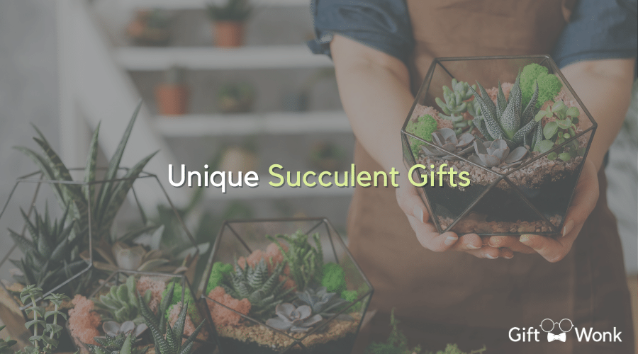 Unique Succulent Gifts