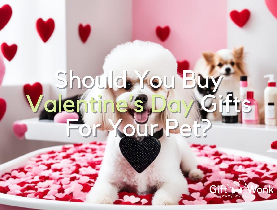 Should You Buy Valentine’s Day Gifts For Your Pet?