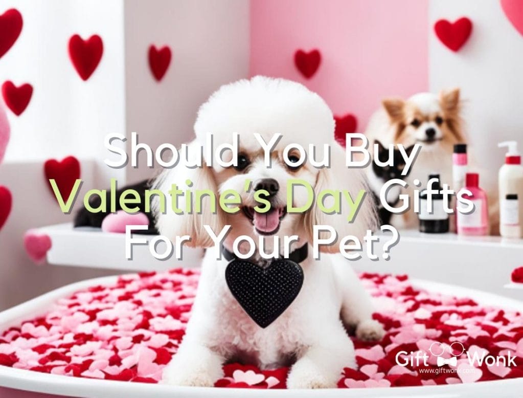 Should You Buy Valentine’s Day Gifts For Your Pet? 2024
